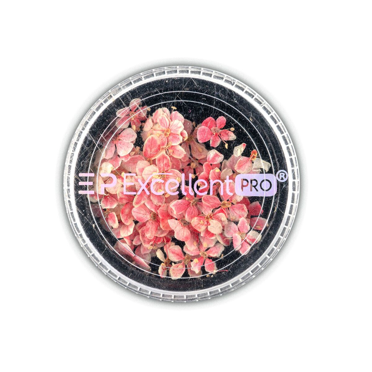 Excellent PRO Deco Dry Flowers 50pcs 001