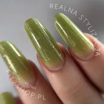 Excellent PRO Thixotropy gel with effect SPARKLING OLIVE 15g - 2