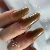 Excellent PRO Builder Color With Thixotropy Dark Bronze 15g - 2