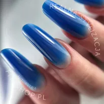 Excellent PRO Builder Color With Thixotropy Sky At Night 15g - 2