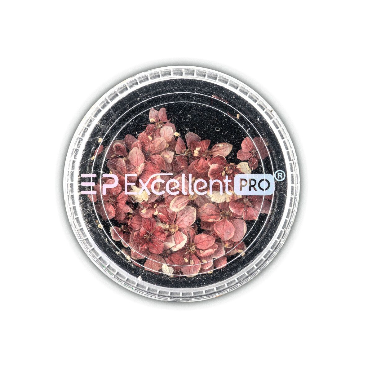 Excellent PRO Deco Dry Flowers 50pcs 005