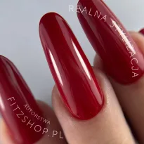Excellent PRO Colors 804 CRIMSON WINE 7g - 2