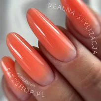 Excellent PRO Builder Color With Thixotropy Salmon Orange 15g - 2