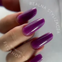 Excellent PRO Builder Color With Thixotropy Shade Of Plum 15g - 2