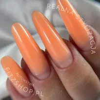 Excellent PRO Cloud Mousse PEACHY SUNSET 15g - 2