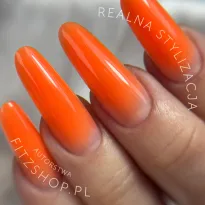 Excellent PRO Builder Color With Thixotropy American Prison 15g - 2