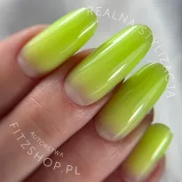 Excellent PRO Builder Color With Thixotropy Limon 15g - 2