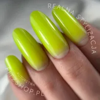 Excellent PRO Builder Color With Thixotropy Radiant Yellow 15g - 2